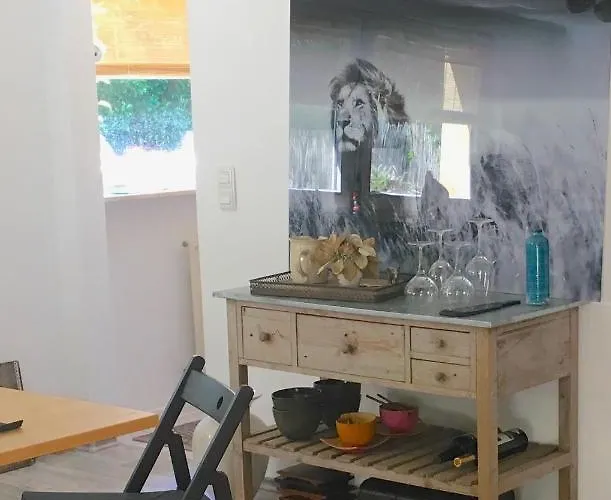 House Apricot Krefeld