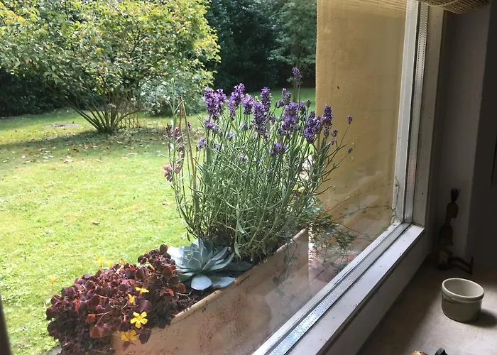 House Apricot Lodge *